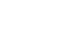 VIP Boats and Yachts